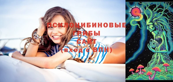 индика Абдулино