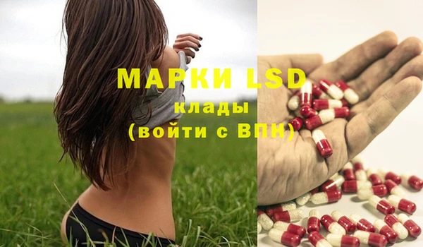 прущие крисы Абинск