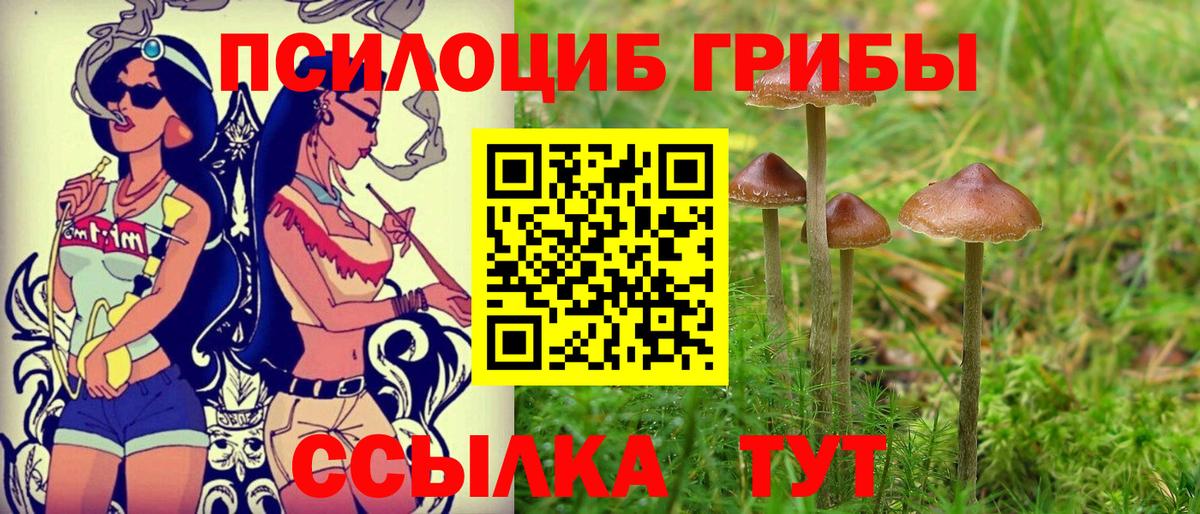 Галлюциногенные грибы GOLDEN TEACHER Владимир